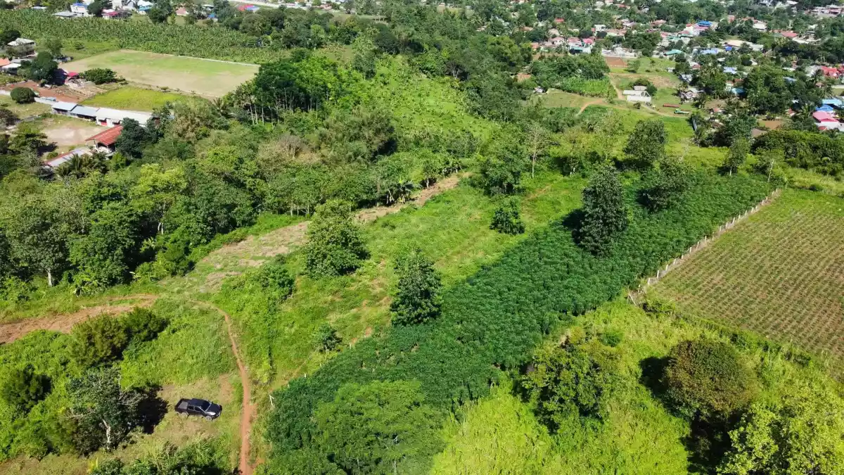 Lot for Sale in Valencia City Bukidnon with Overlooking View of the City - photo 3
