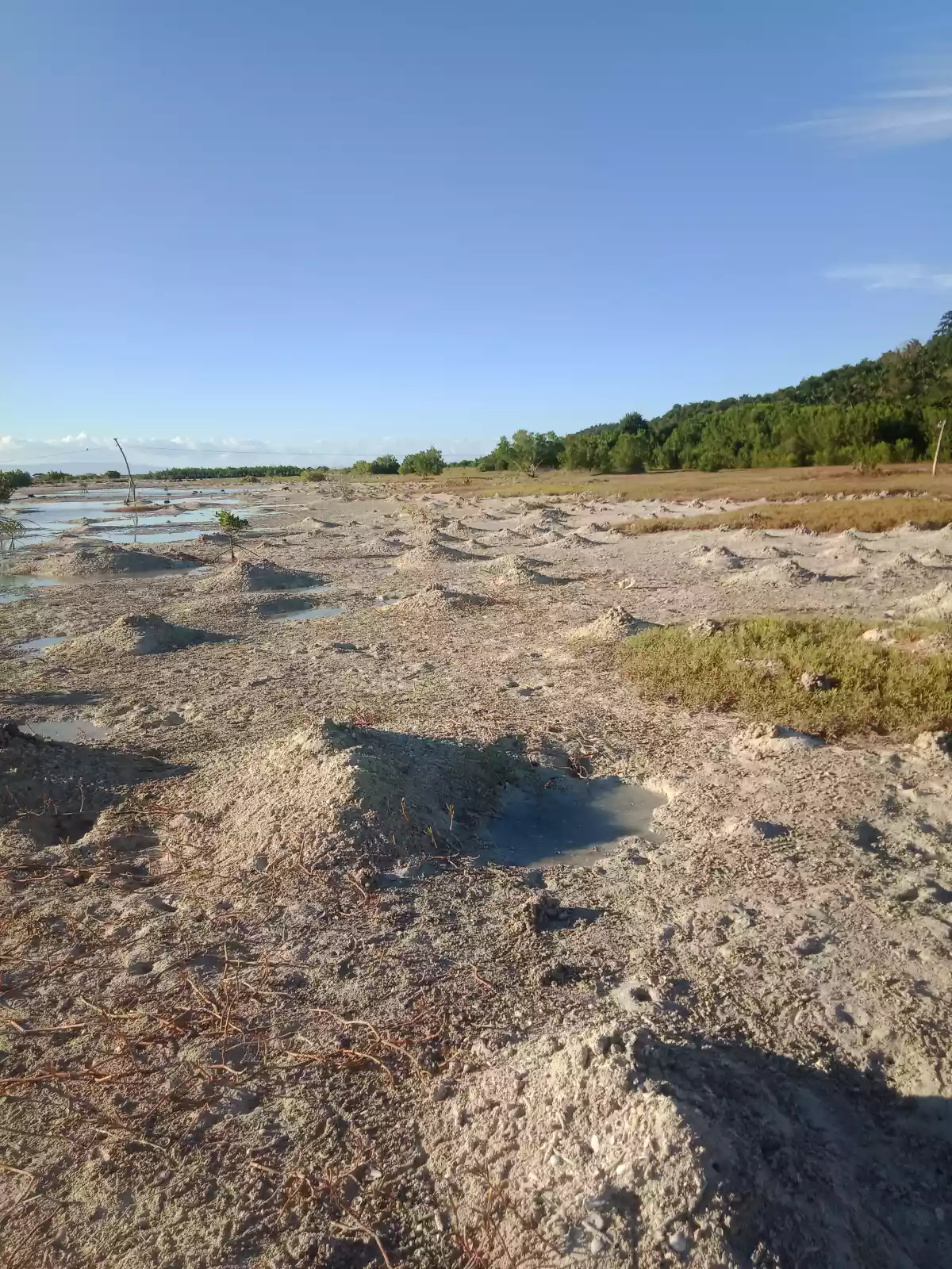 Bohol Beach Lot for sale - photo 3