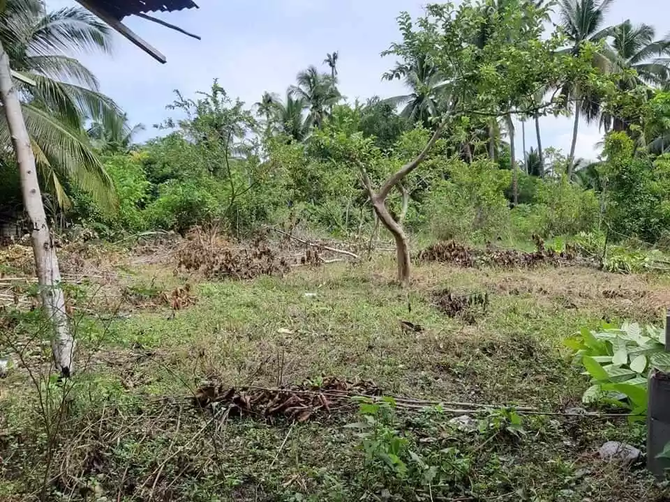 Titled Lot for Sale - photo 5