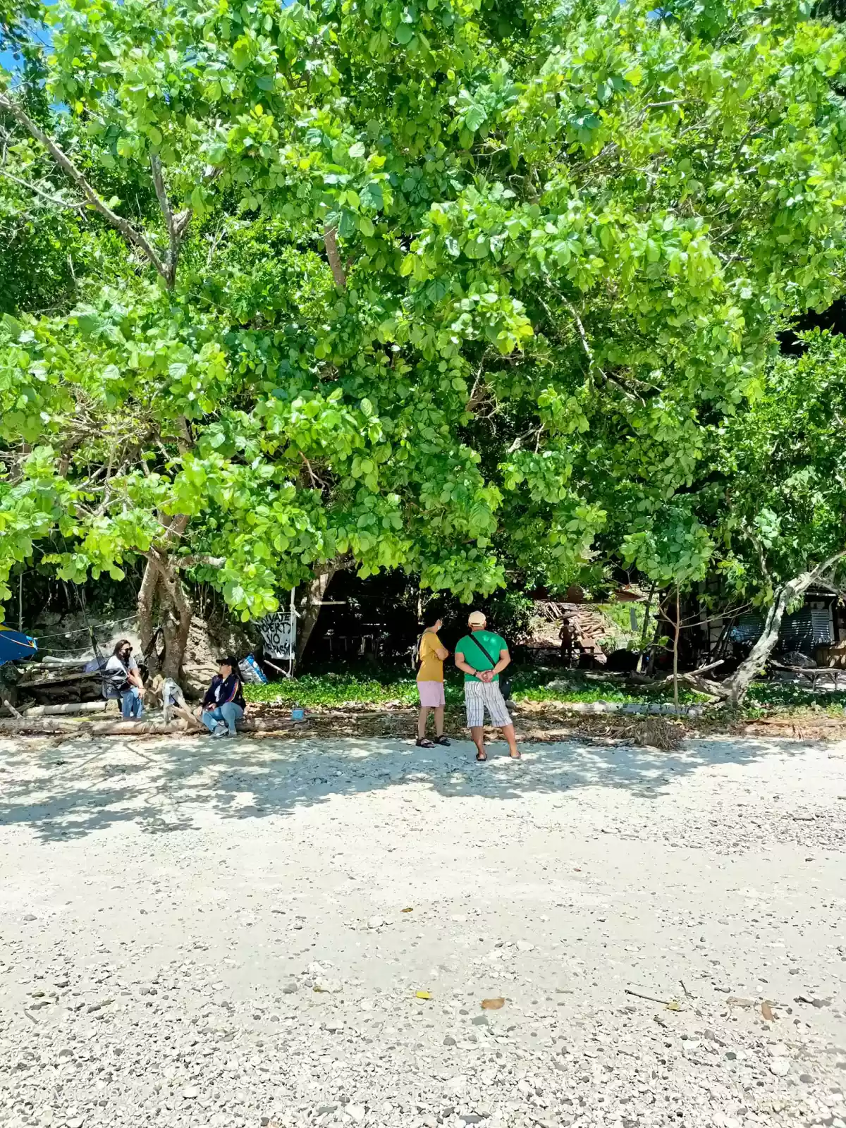 1 HECTARE BEACHLINE IN CANIBAD, SAMAL — Beach Lot in Samal, Island Garden City of Samal, Davao del Norte — Photo 5