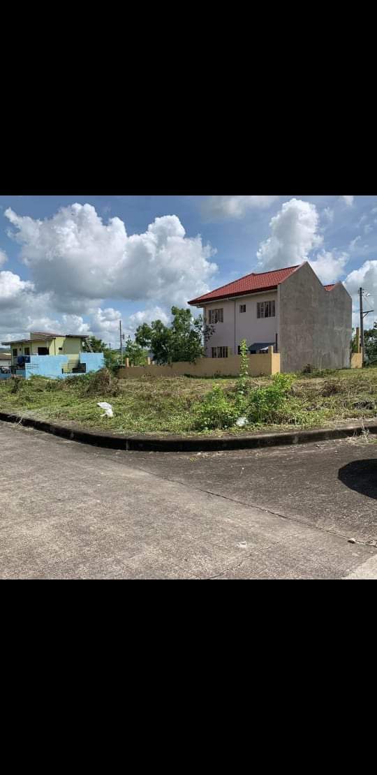 LOT FOR SALE @ EL MONTE VERDE DE CEBU, CONSOLACION — Residential Lot in New Orleans Street, Lamac, Consolacion — Photo 4