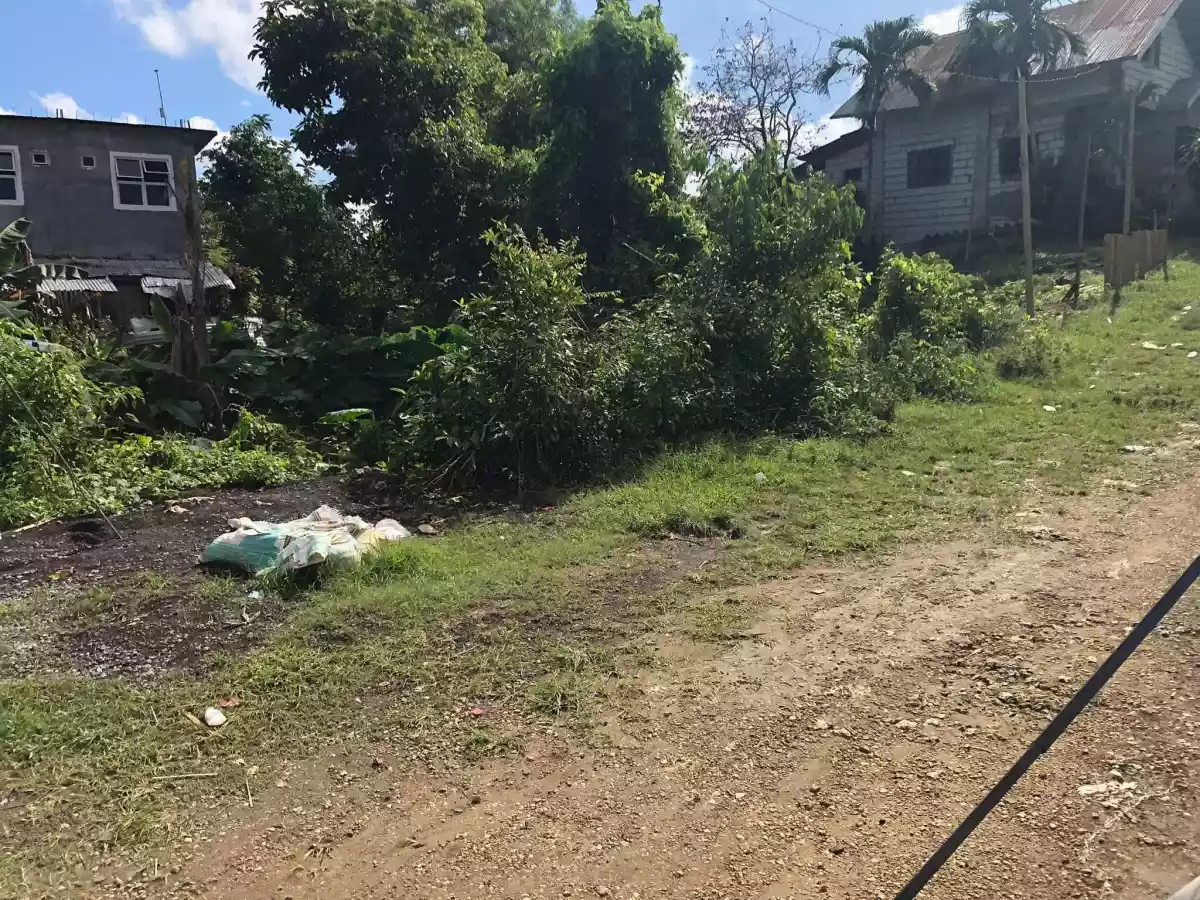 Lot for sale - photo 3