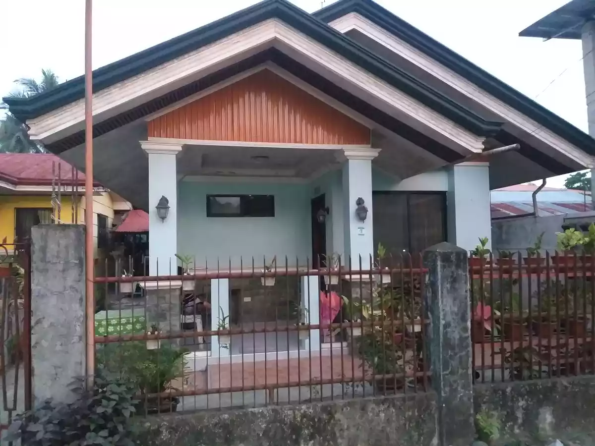 House and lot - photo 4