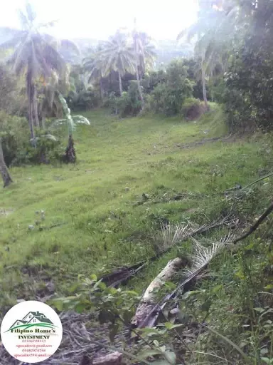 Very rush agri lot — Agricultural Lot in Cebu, Philippines — Photo 6