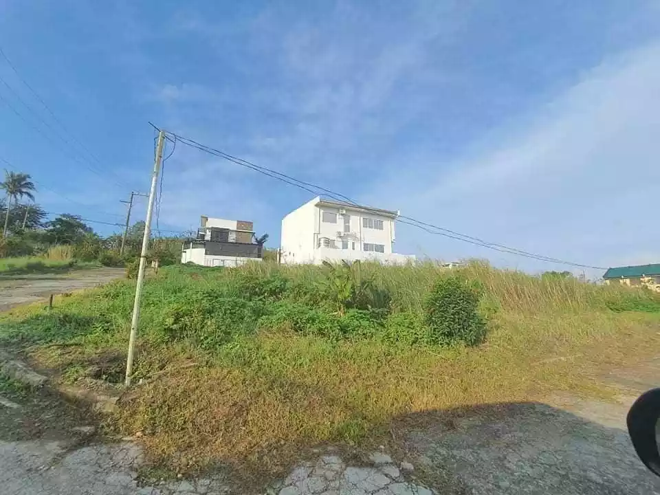 LOT FOR SALE -RESIDENTIAL LOT INSIDE SUBDIVISION IN TAGAYTAY — Residential Lot in End, Tagaytay, Cavite — Photo 4