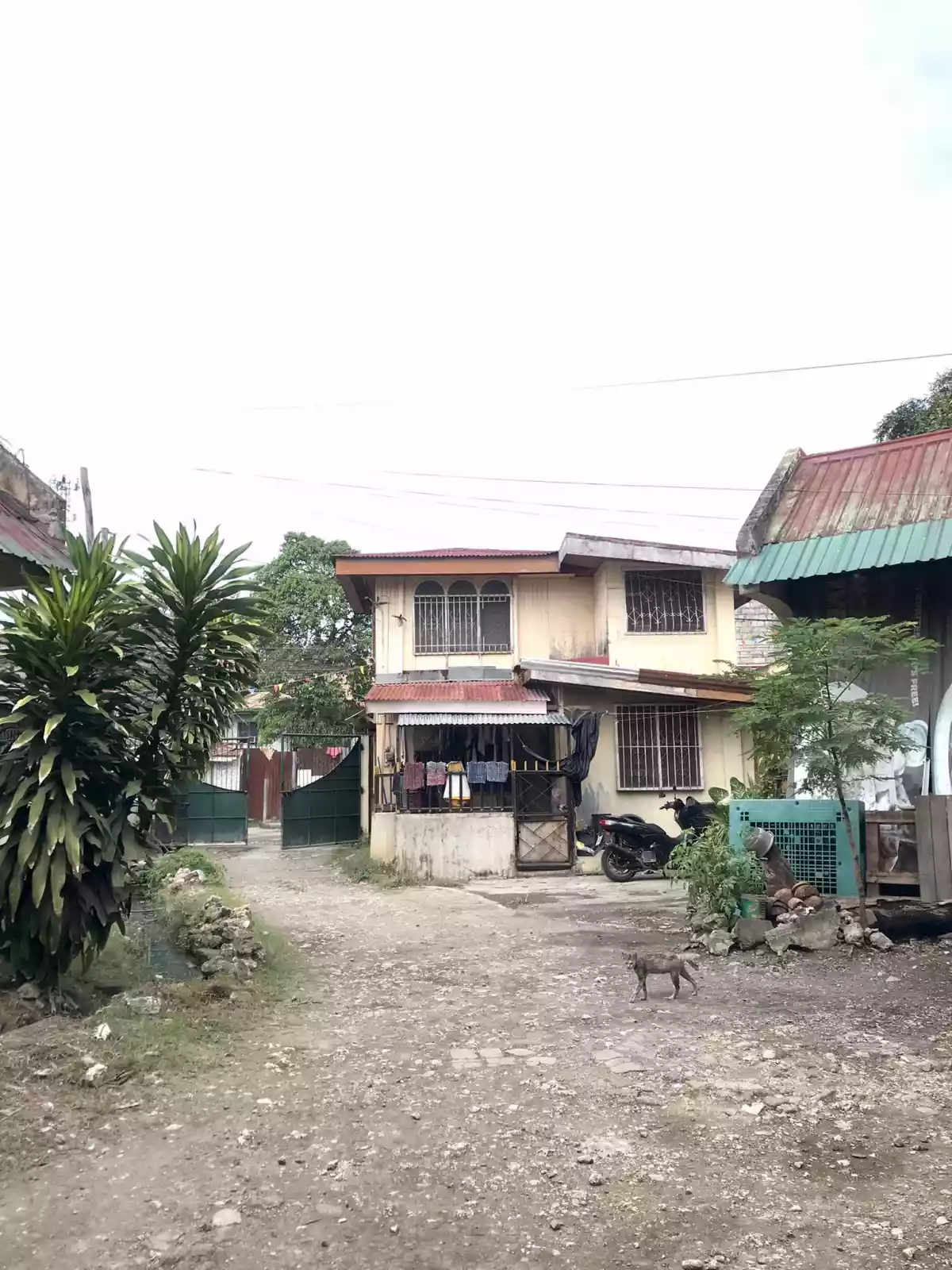 For Sale/Rent: Entire Apartment Complex in Pusok, Lapu-Lapu City! — Apartment in Lapu-Lapu City, Cebu, Philippines — Photo 6