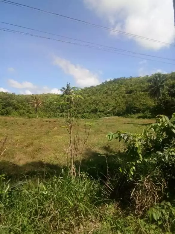 Lot for Sale in Sogod - photo 5