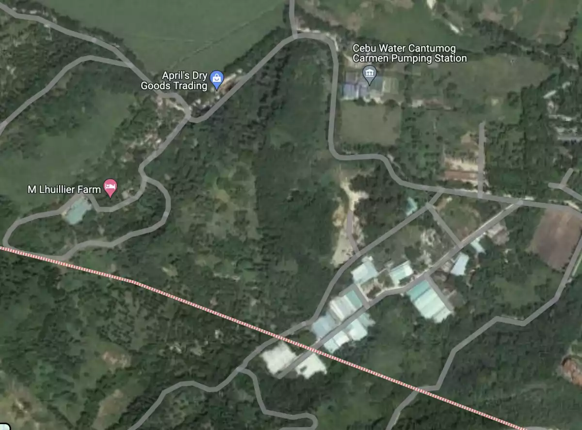 Lot for Sale in Cantumog Carmen, Cebu — Agricultural Lot in Cebu, Philippines — Photo 4