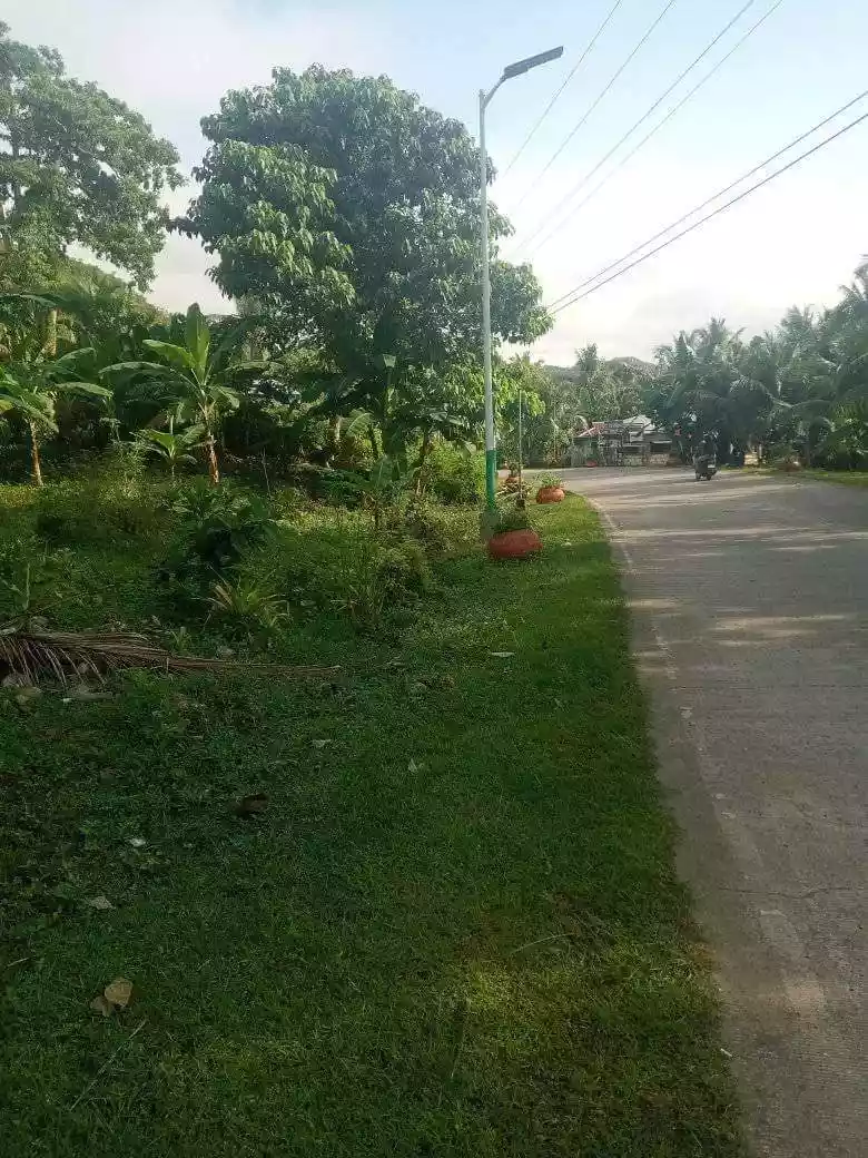 LOT FOR SALE IN IPO, CANDABONG, ANDA, BOHOL - photo 4