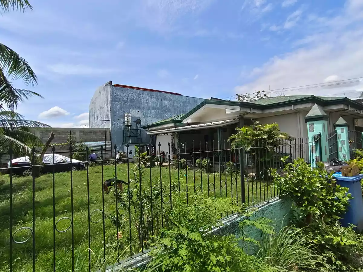 1431 sqm Lot for Sale | High-Exposure Location with 38.44m Frontage — Commercial Lot in Mandaue City, Cebu, Philippines — Photo 6