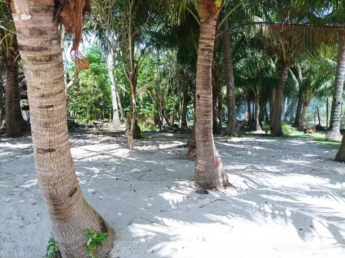 Titled White Sand Beach Lot in Bantayan Island — Beach Lot in Philippines — Photo 7