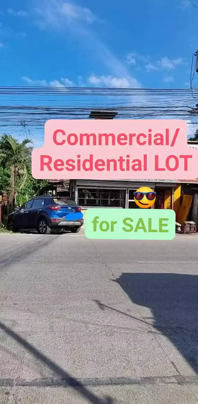 Commercial/Residential Lot along Marigondon Road, Lapulapu Cebu for Sale - photo 2