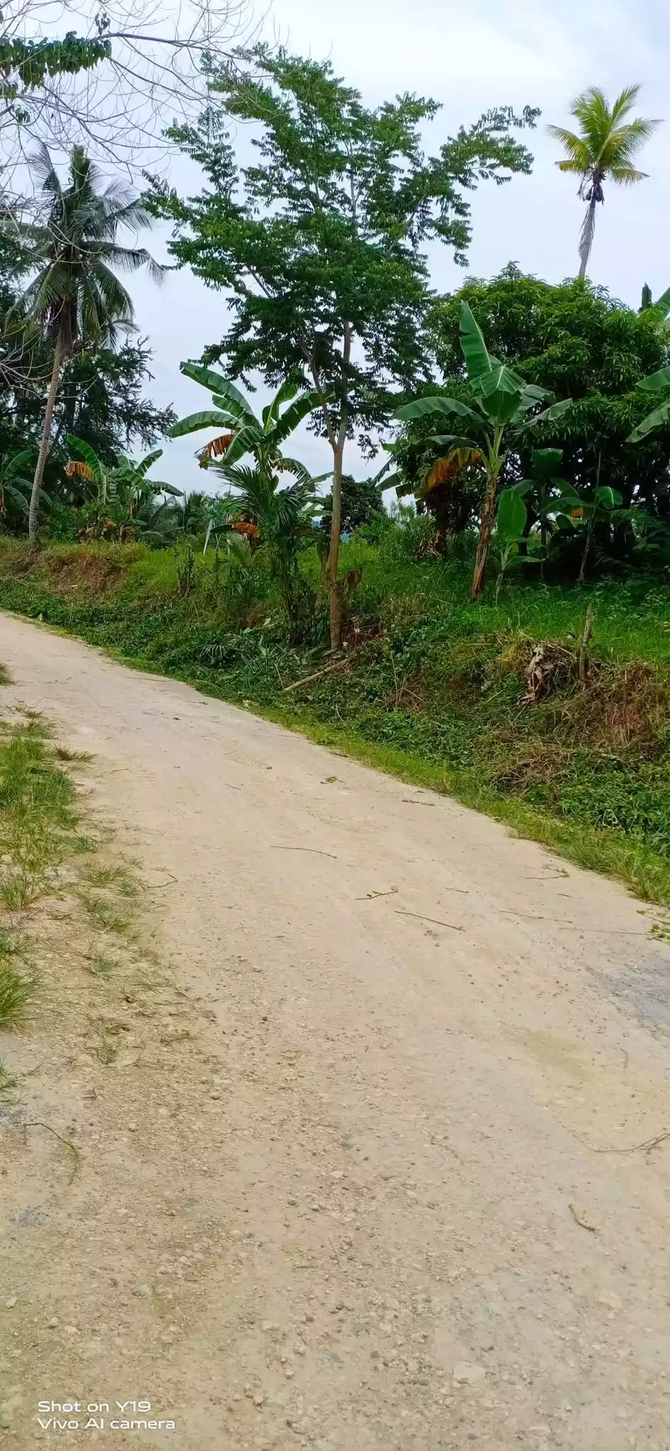 FOR SALE : 28, 301 SQM LOT IN BARILI, CEBU