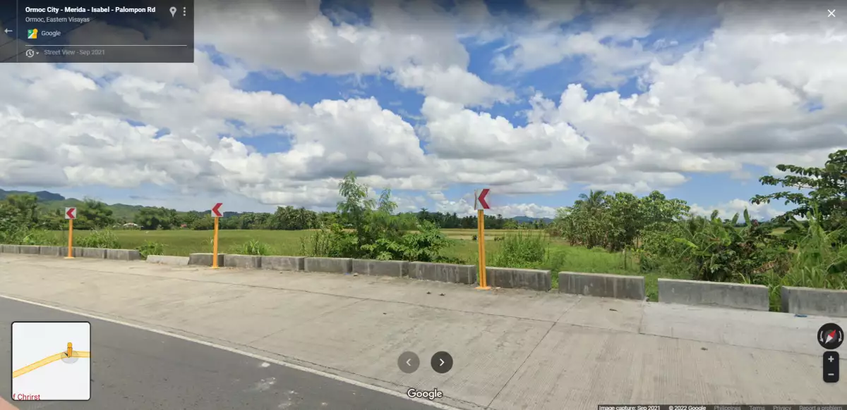 Commercial Lot for Sale — Residential Lot in Ormoc, Leyte, Philippines — Photo 3