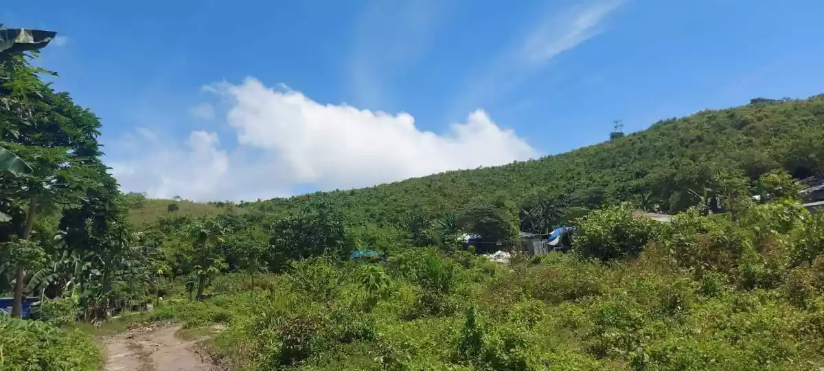 Lot for Sale - photo 6