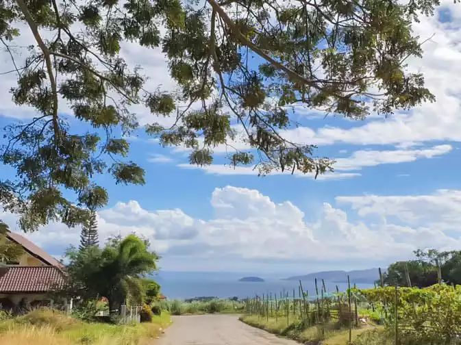 Taal View Heights - photo 3