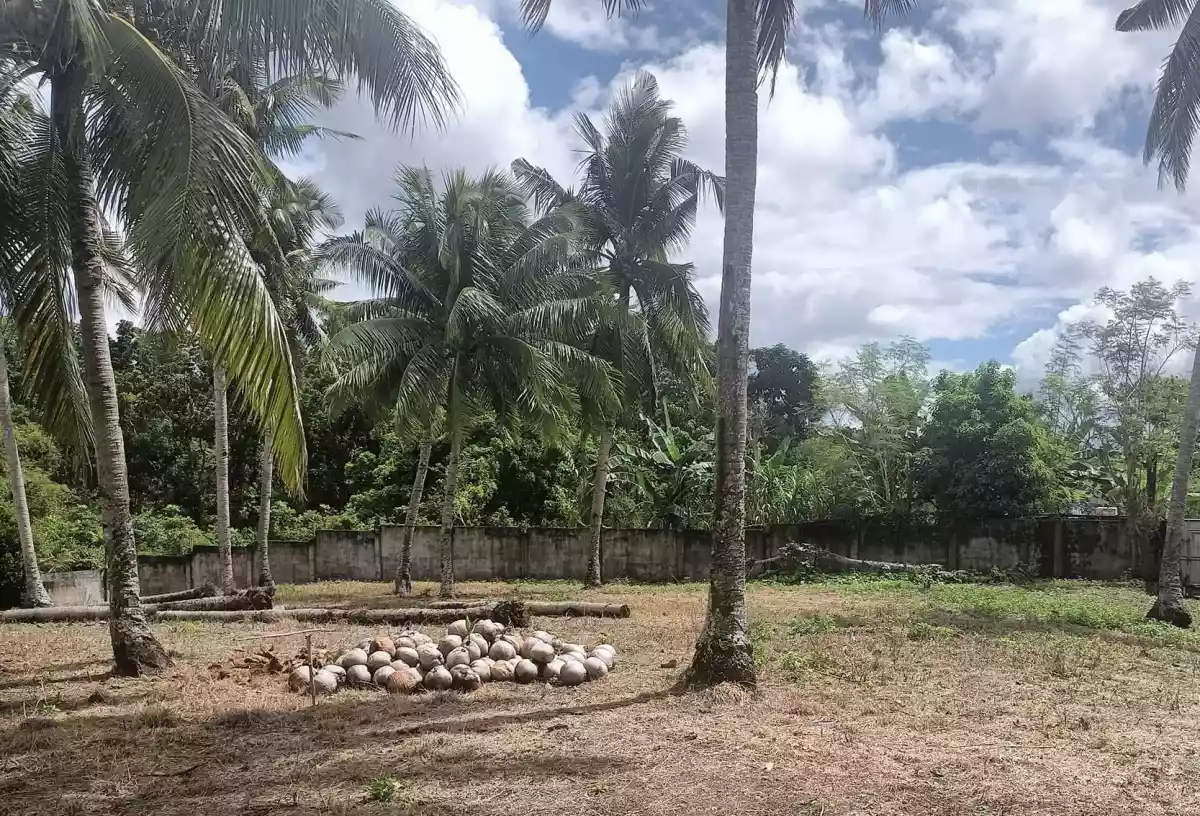 Guiwanon Baclayon — Residential Lot in Bohol, Philippines — Photo 4