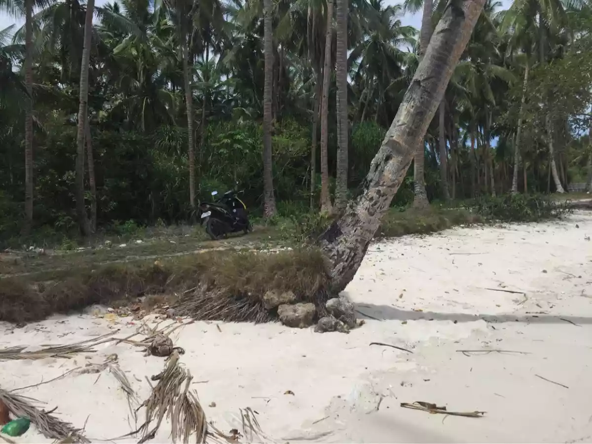 Titled — Commercial Lot in Panglao, Bohol, Philippines — Photo 3