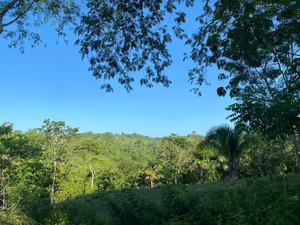 Open photo 21 of 27 — Over Looking LOT FOR SALE along Brgy Road Bayanga, Cagayan de Oro City