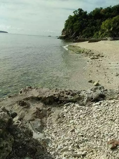 7-Villa income generating resort in  Oslob — Beach House / Resort in Oslob Whale Shark Briefing Zone, Oslob, Cebu — Photo 6