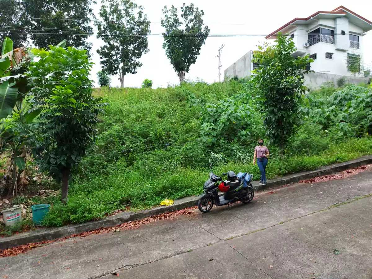 Lot for sale - photo 3