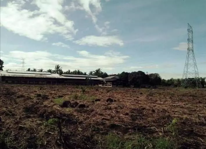 Poultry Farm For Sale in Manolo Fortich Bukidnon - photo 5