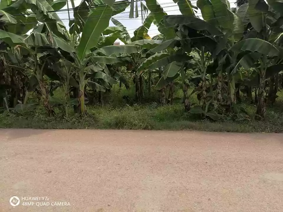 Lot for Sale - photo 3