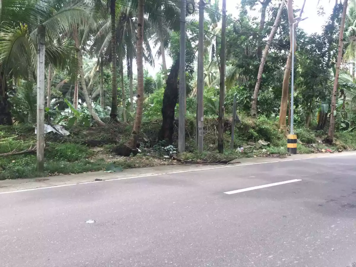 Residential Lot For Sale — Residential Lot in Asturias, Cebu, Philippines — Photo 4