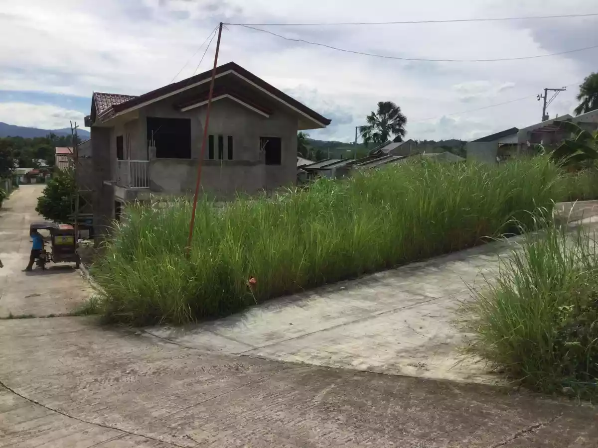 Residential Lot for Sale in San Vicente Liloan, Cebu - photo 4