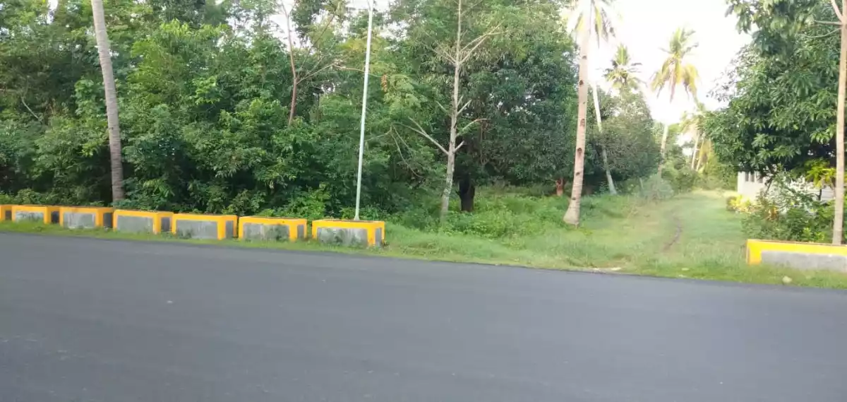 2,389 SQM LOT IN SAN REMIGIO, NORTH CEBU - photo 7