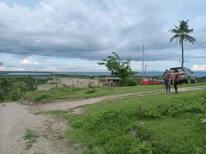 Lot for Sale - photo 5