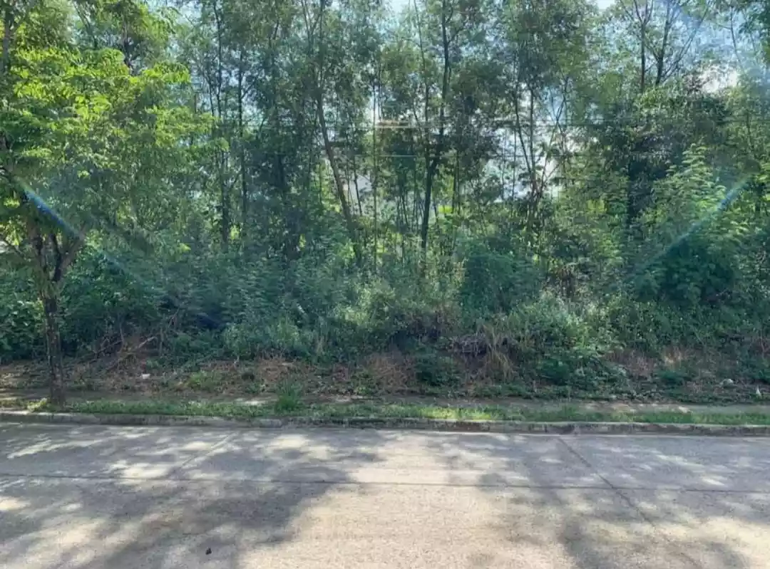 LOT FOR SALE @Heritage,Jagobiao, Mandaue  - photo 2