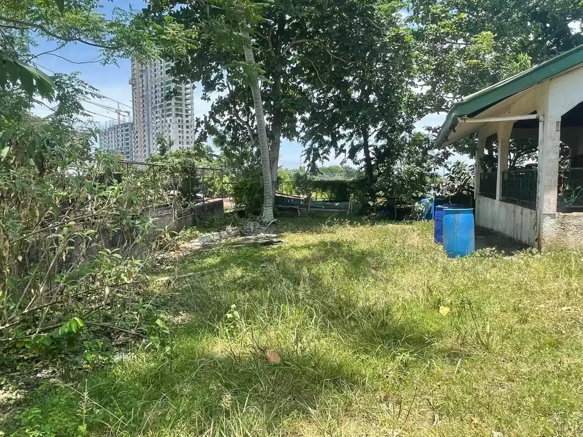 Rush Lot For Sale with House Near City Lights — House and Lot in Apas, Cebu City, Cebu — Photo 3