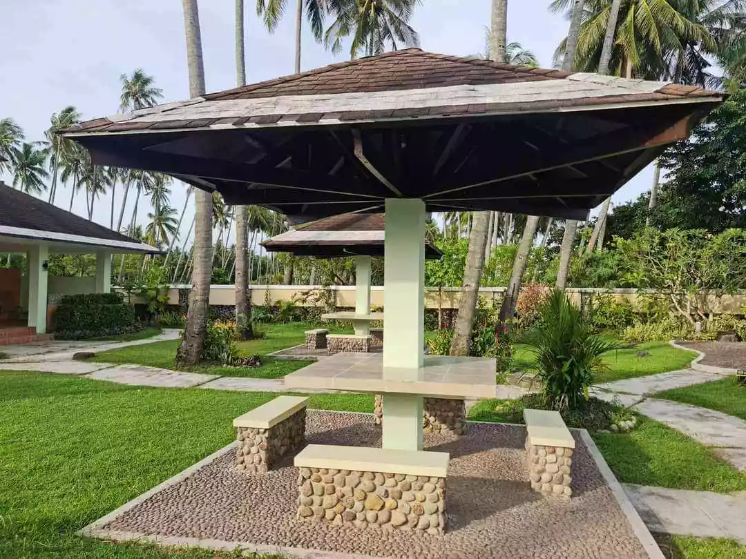 Apo Vista Beach Park 700sqm For Sale - photo 3