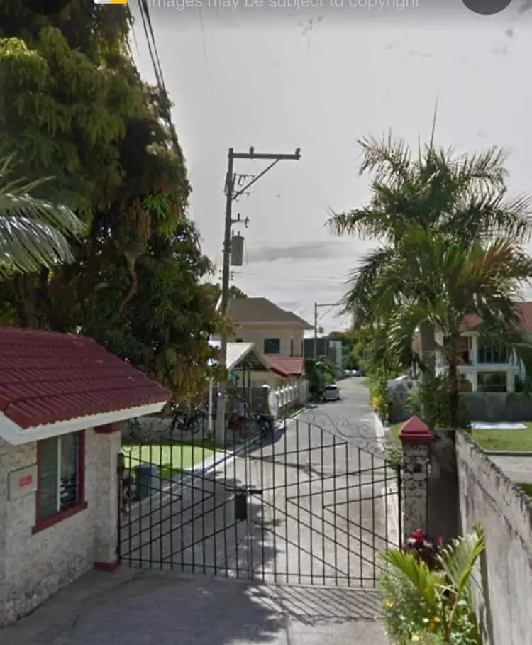 100sq Residential Lot in Linao, Minglanilla Subdivision Cebu — Residential Lot in Lower Lipata, Minglanilla, Cebu — Photo 4