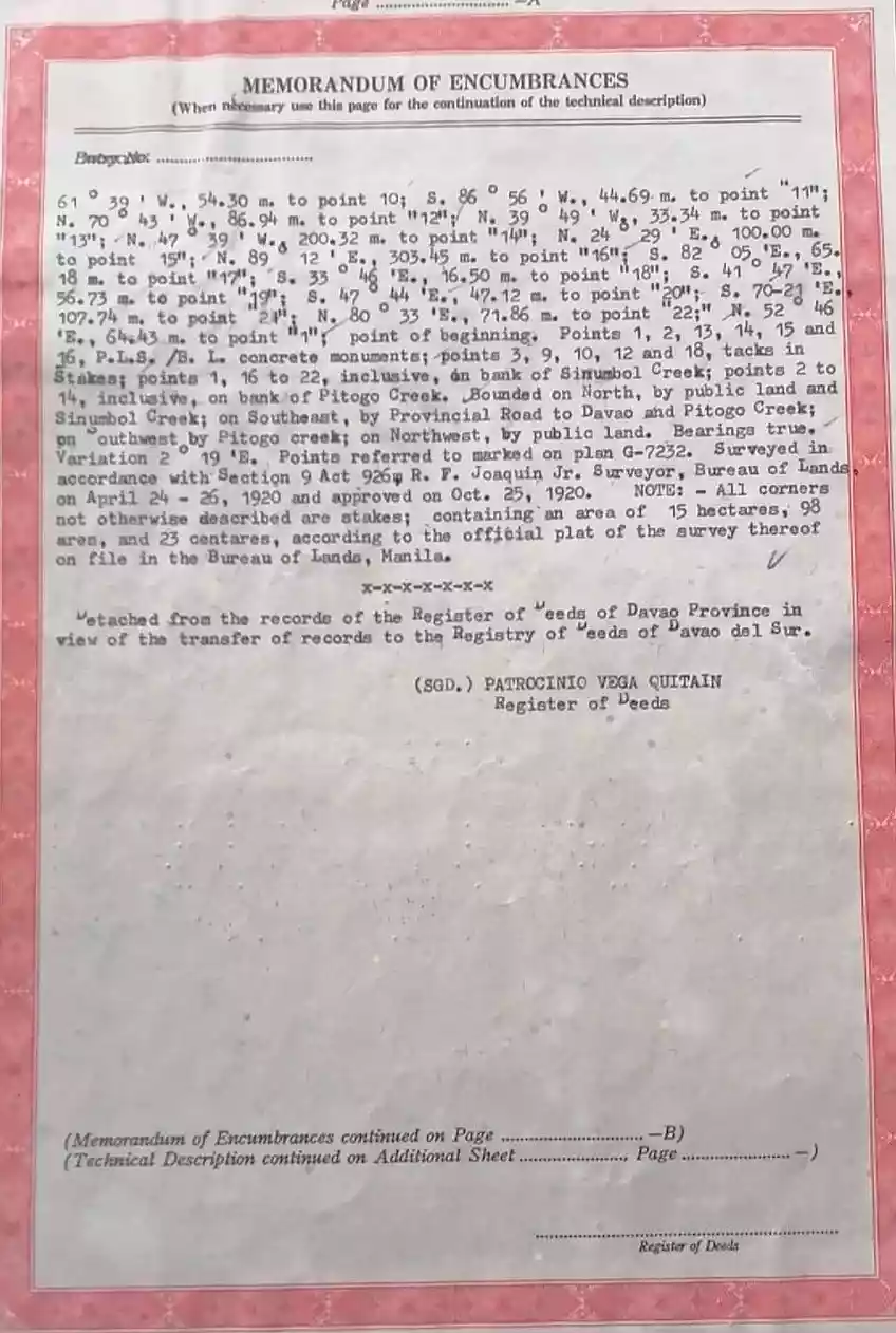 Commercial Lot along the National Highway of Sta. Cruz, Davao del Sur - photo 3