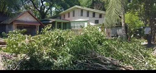 Commercial Corner Lot in Silay! Near the Airport! — Commercial Lot in Silay City, Negros Occidental, Philippines — Photo 2