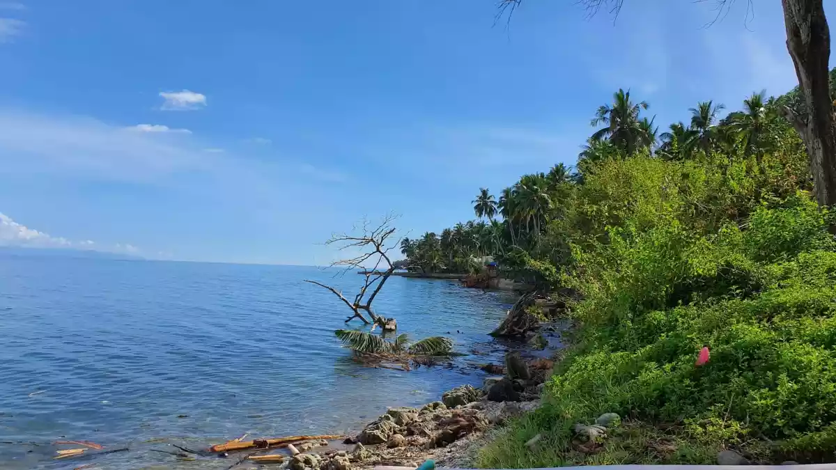 BEACH LOT — Beach Lot in Kaputian, Island Garden City of Samal, Davao del Norte — Photo 6