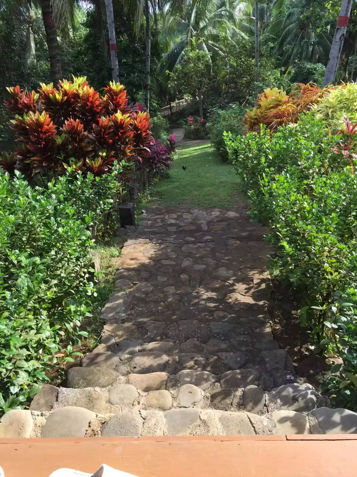 Fruit Farm with Vacation House in Camiguin — House and Lot in Camiguin, Philippines — Photo 7