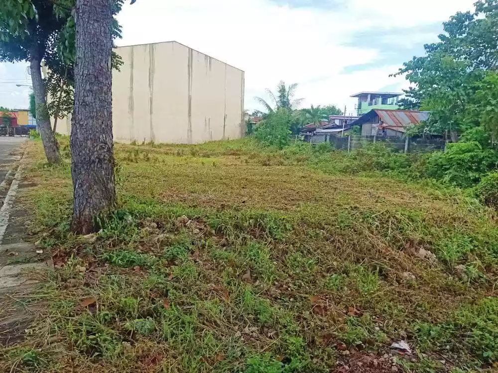Lot for sale inside subdivision in Golden Meadows, Cordova, Cebu — Residential Lot in Cordova, Cebu, Philippines — Photo 2
