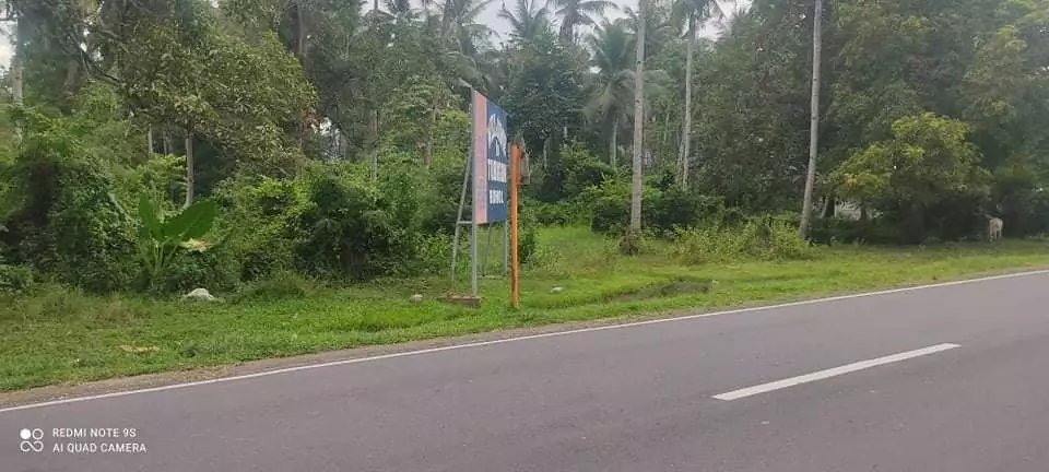 Residential Lot for Sale in Tubigon, Bohol — Residential Lot in Bohol, Philippines — Photo 6