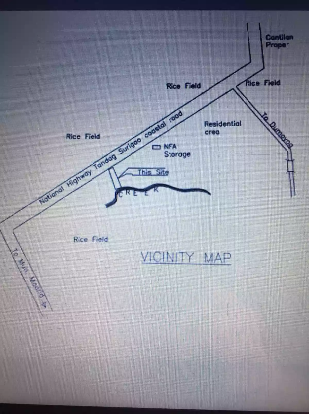 11,195 sqm along National rd. Calagda-an,Cantilan Surigao del sur - photo 6