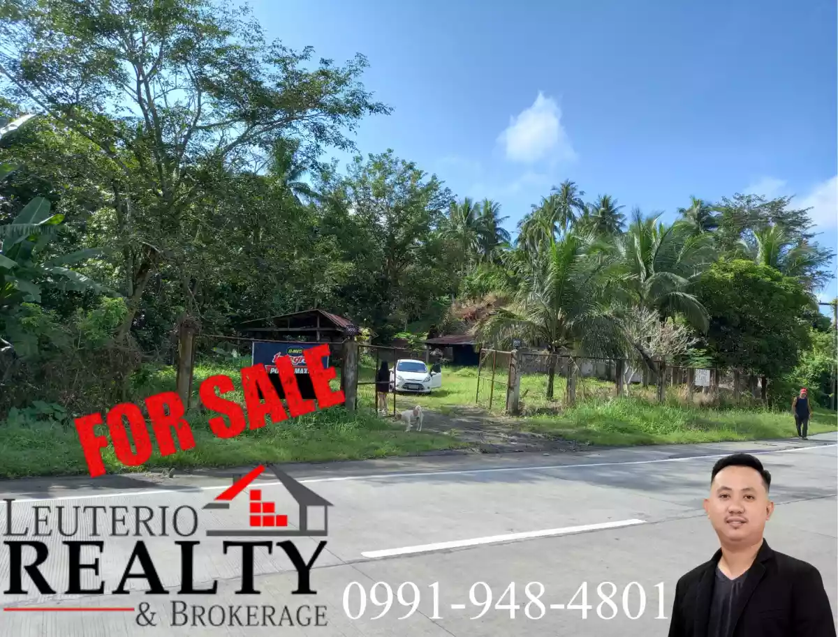 20,000 SQ.M. (Agricultural/Residential/Industrial) LOT — Agricultural Lot in Camarines Sur, Philippines — Photo 4