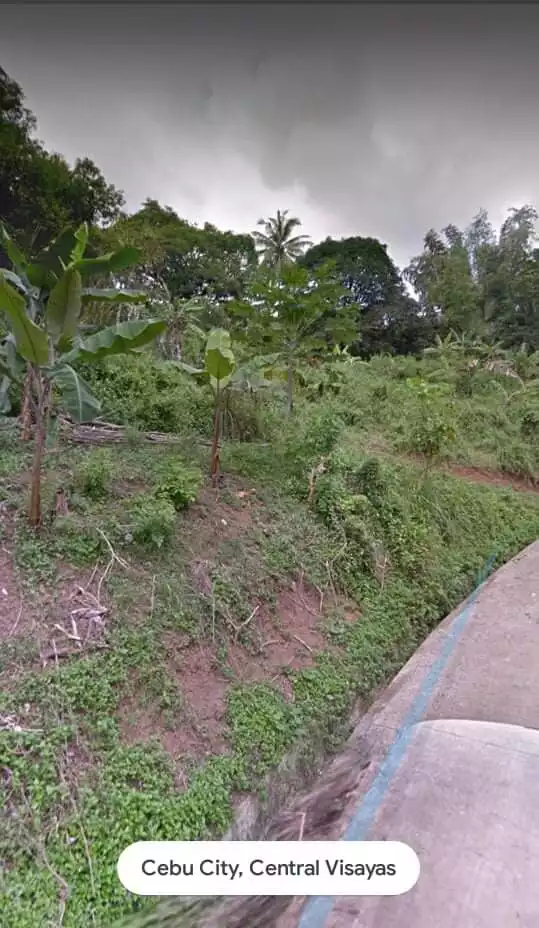 TITLED LOT with 8 mango trees ang 20 Santol trees — Agricultural Lot in Cebu City, Cebu, Philippines — Photo 4