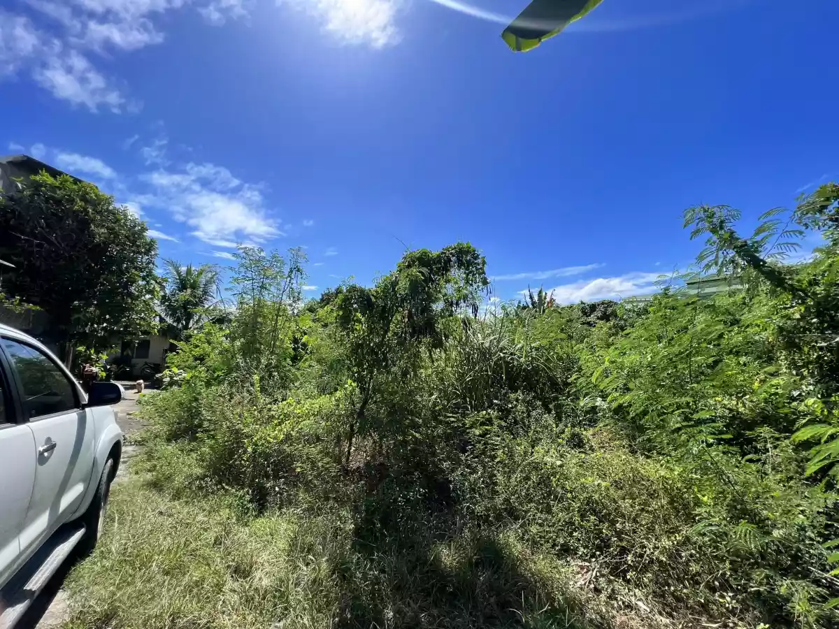 PRIME LOT IN CANJULAO, LAPU-LAPU CITY, CEBU — Residential Lot in Lapu-Lapu City, Cebu, Philippines — Photo 2