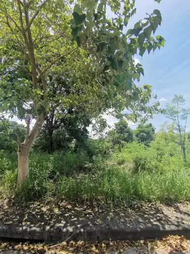 Overlooking Lot for sale in Vista Grande, Bulacao — Residential Lot in Talisay, Cebu, Philippines — Photo 2