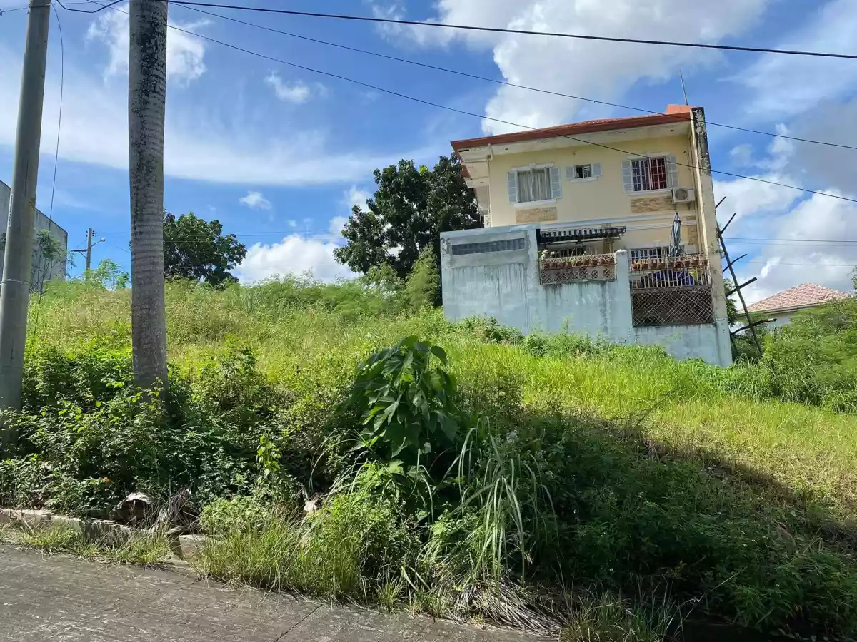 Lot — Residential Lot in Cebu, Philippines — Photo 5