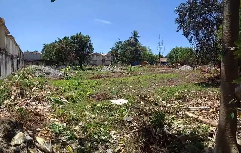 Minglanilla Industrial Lot in Tungkop
