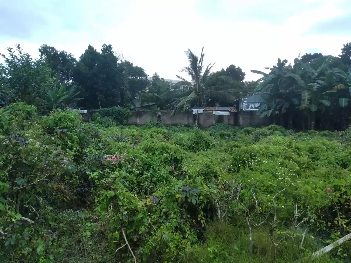 Affordable lot - photo 4