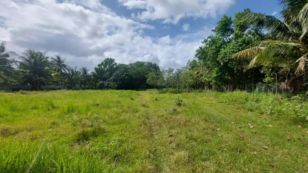 Beachlot for sale — Beach Lot in San Remigio, Cebu, Philippines — Photo 6